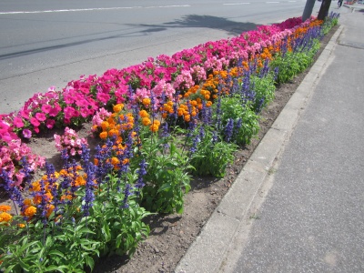 平成30年度 花壇コンクール 街路花壇の部