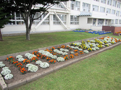 学校花壇コンクール 入賞作品