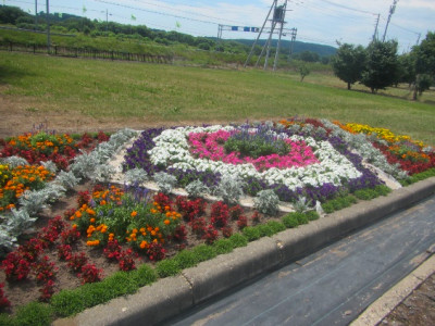 花壇コンクール 一般花壇の部